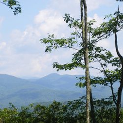 brevard nc real estate communities