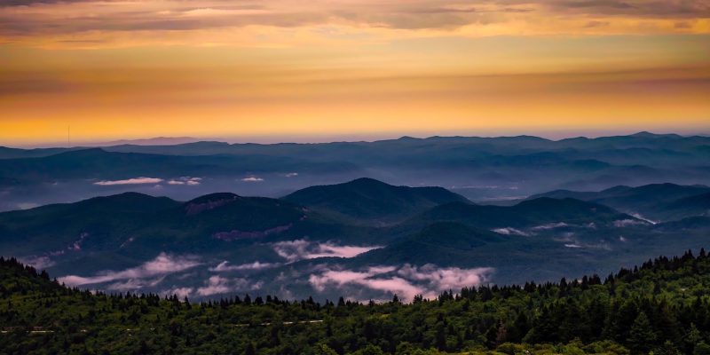 homes and land for sale in brevard nc