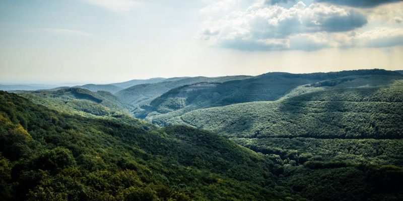 brevard nc national and state parks
