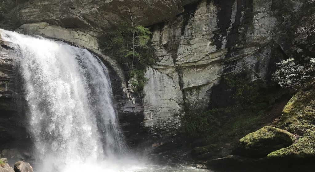 pisgah national forest
