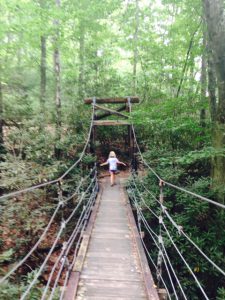 Swinging Bridge