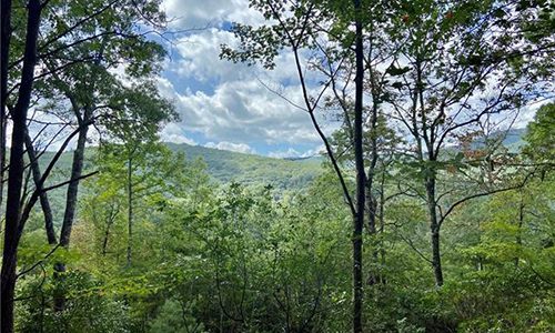 Honey Mountain Road Lake Toxaway