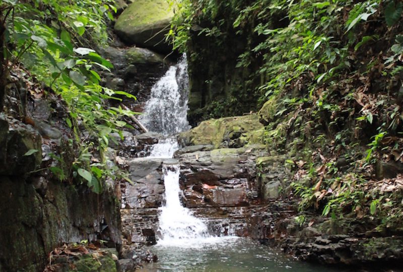 real estate communities in brevard nc